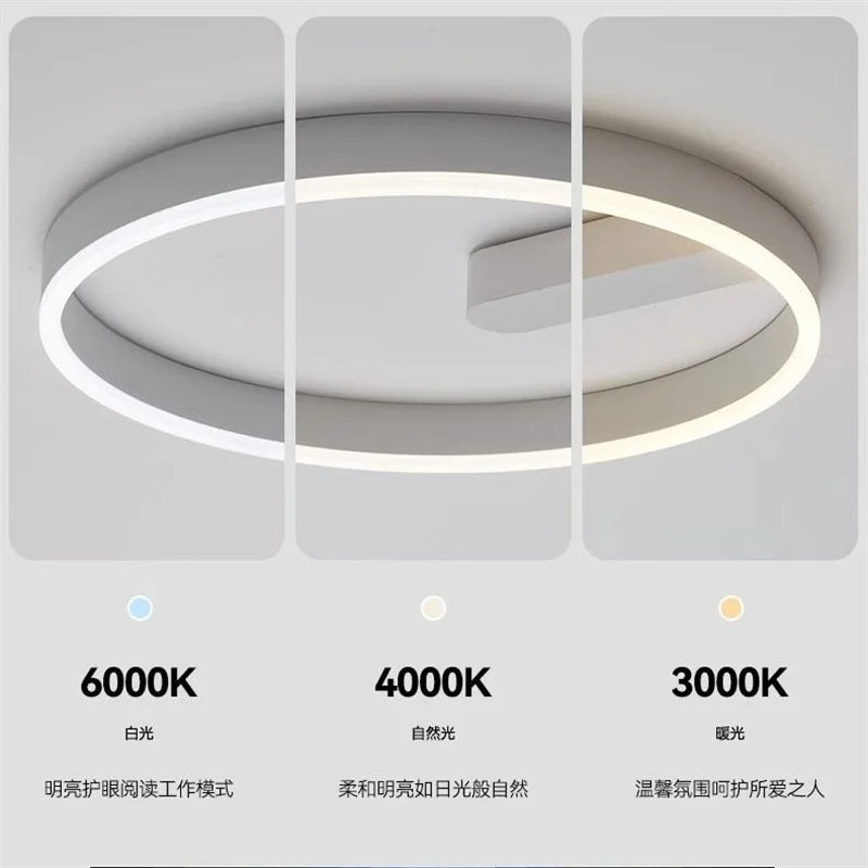 2024 LED ceiling light creative new style bedroom light, living room lighting, modern and simple black white bedroom light - vue 6 sur 7