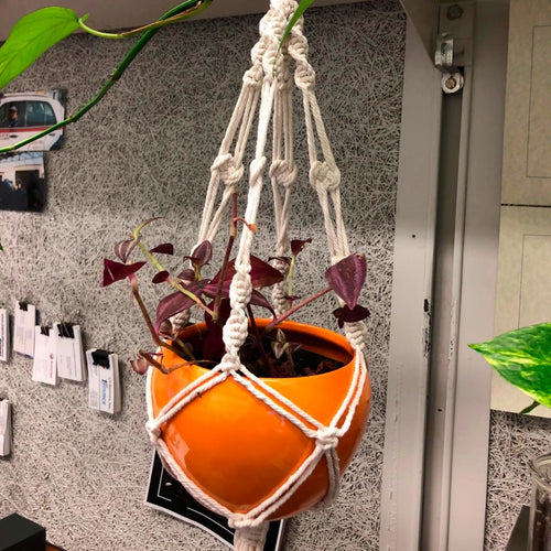 paniers suspendus en macramé pour plantes décoratives à accrocher - vue 11 sur 19
