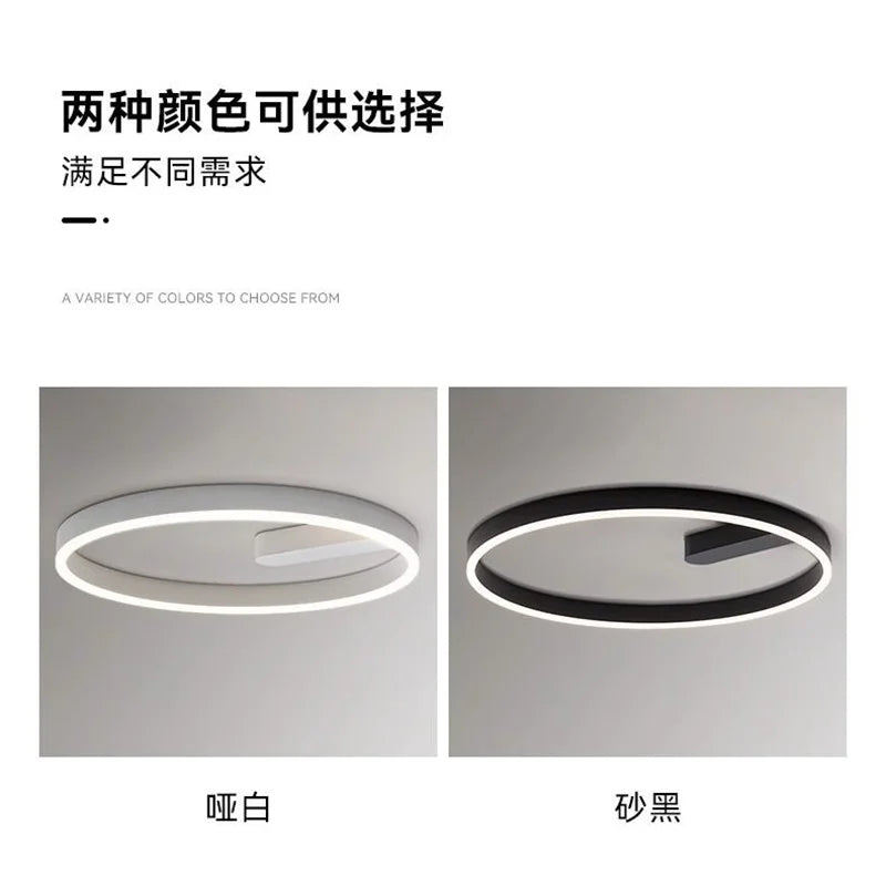 2024 LED ceiling light creative new style bedroom light, living room lighting, modern and simple black white bedroom light - vue 5 sur 7