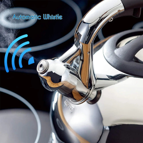 Bouilloire sifflet acier inoxydable grande capacité 3l