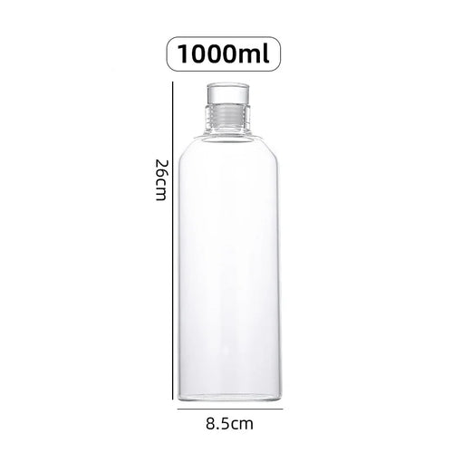 Bouteille eau verre infuseur sport extérieur grande capacité