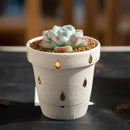 pot de fleurs en céramique pour succulentes style nordique