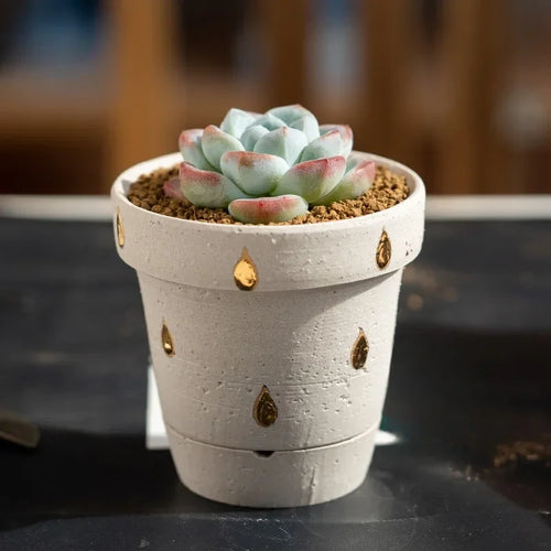 pot de fleurs en céramique pour succulentes style nordique - vue 3 sur 10