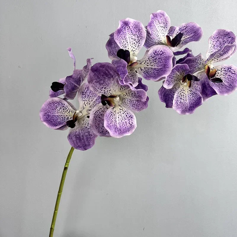 lot de 2 orchidées artificielles vanda pour décoration intérieure - vue 11 sur 12