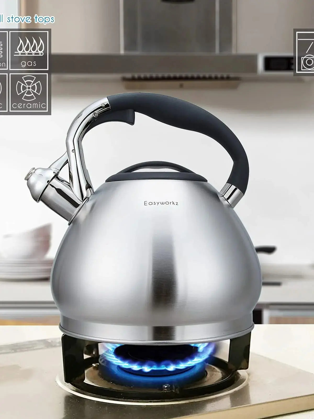Bouilloire sifflet acier inoxydable grande capacité 3l - vue 7 sur 7
