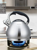 Bouilloire sifflet acier inoxydable grande capacité 3l