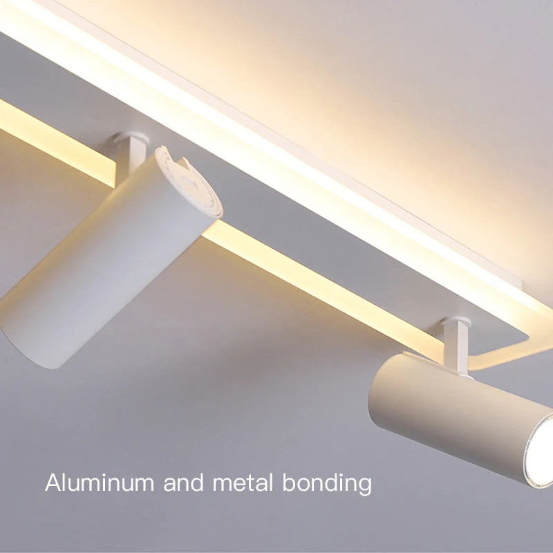 Plafonnier led acrylique projecteur spots