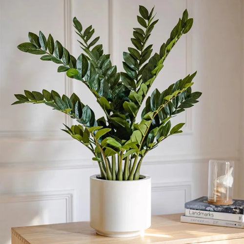 grandes branches artificielles de ficus pour décoration tropicale - vue 2 sur 15