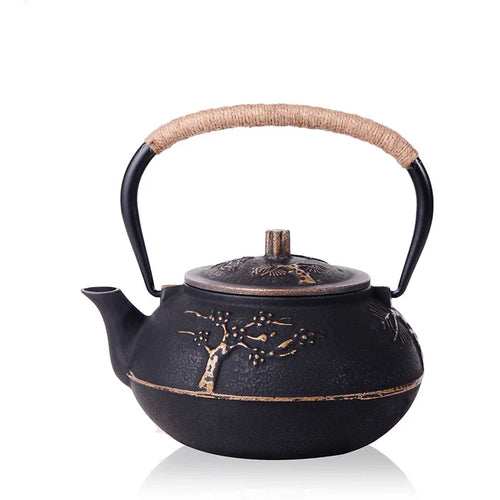 Théière japonaise en fonte avec infuseur kung fu