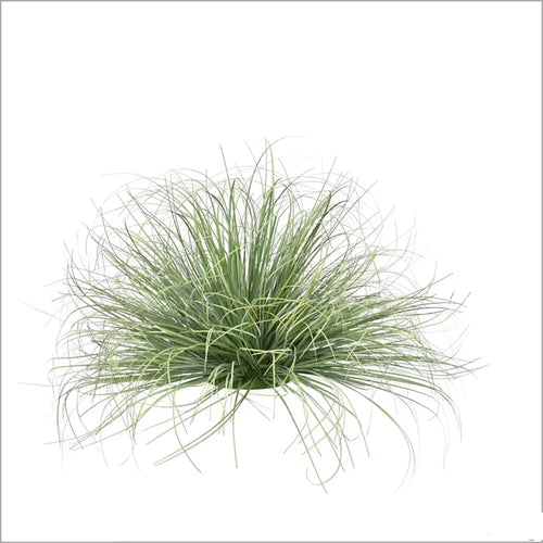 plantes artificielles en touffe pour décorations commerciales