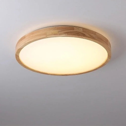 49651881607514|49651881673050|49651881771354|49651881836890|49651881935194|49651882033498|49651882099034|49651882197338|49651882295642|49651882361178|49651882459482|49651882590554