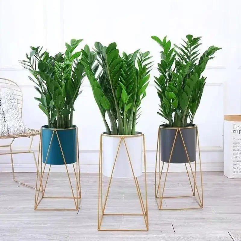 support en fer forgé pour plantes et fleurs d'intérieur élégant - vue 7 sur 18