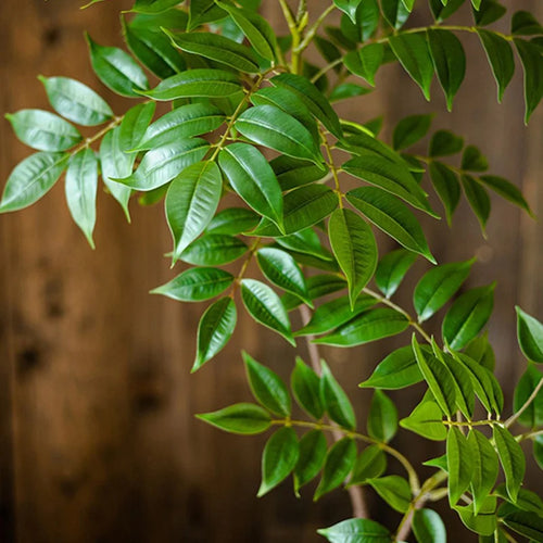 plantes artificielles grandes pour décoration intérieure et extérieure