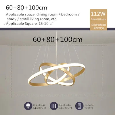 lustre moderne style nordique avec télécommande et anneau lumineux - vue 24 sur 30