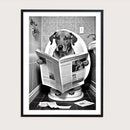 décoration murale humoristique avec animaux sur toilettes