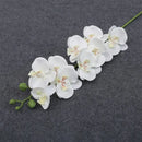 branches de fleurs artificielles orchidées pour décoration et événements