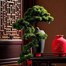 plafonnier bonsaï décoration intérieure style chinois haut de gamme