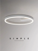 2024 LED ceiling light creative new style bedroom light, living room lighting, modern and simple black white bedroom light