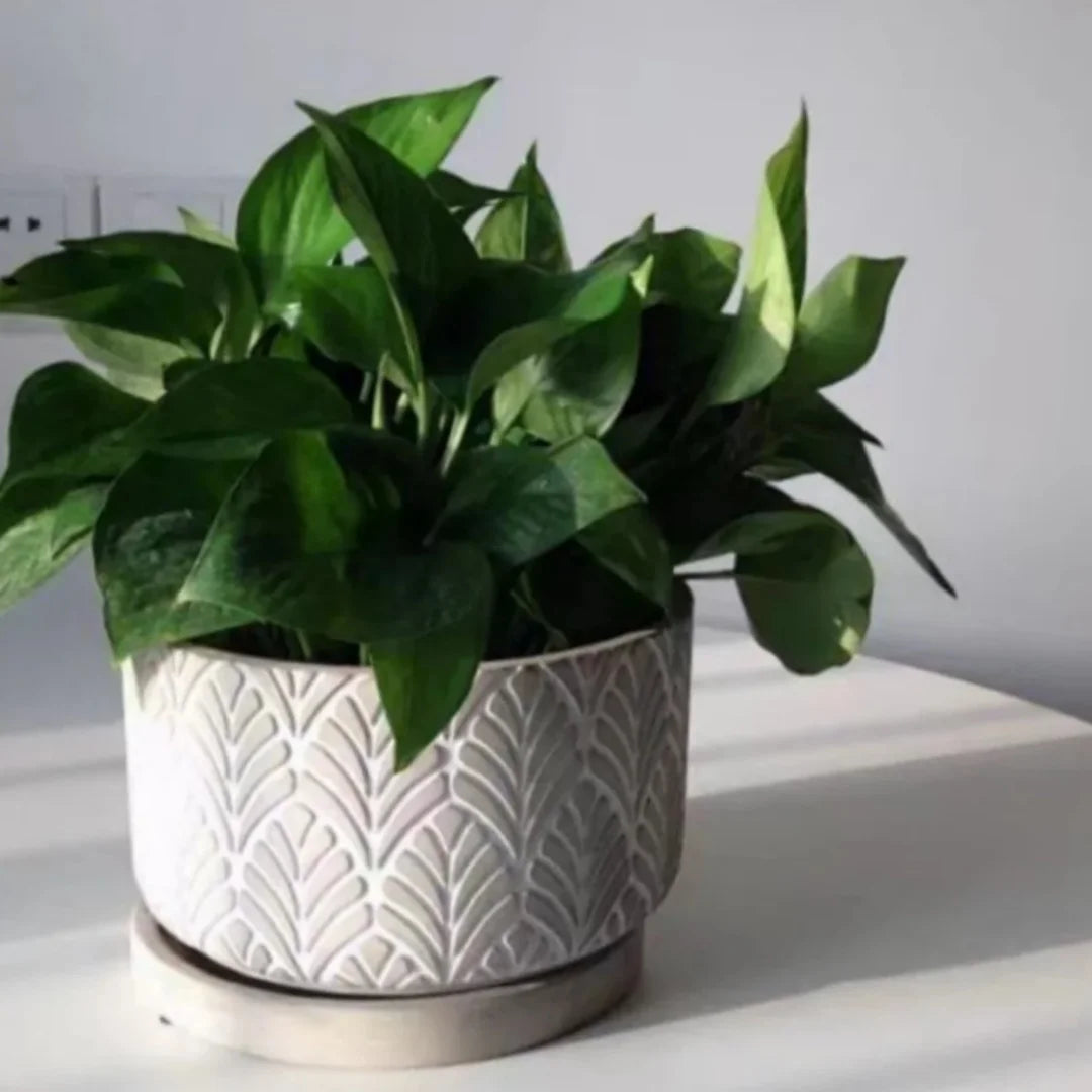moule en silicone pour pot de fleurs béton motif feuilles - vue 4 sur 6
