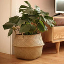 panier pliable en rotin pour rangement et décoration