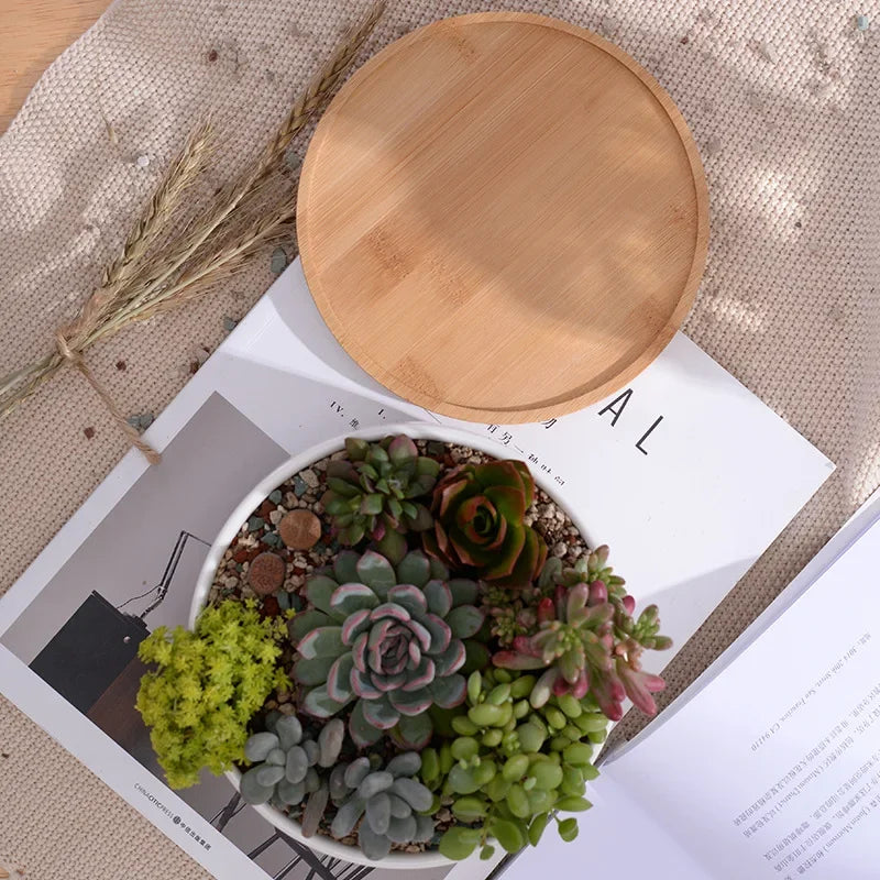 pot en céramique pour plantes succulentes avec plateau en bambou - vue 7 sur 7