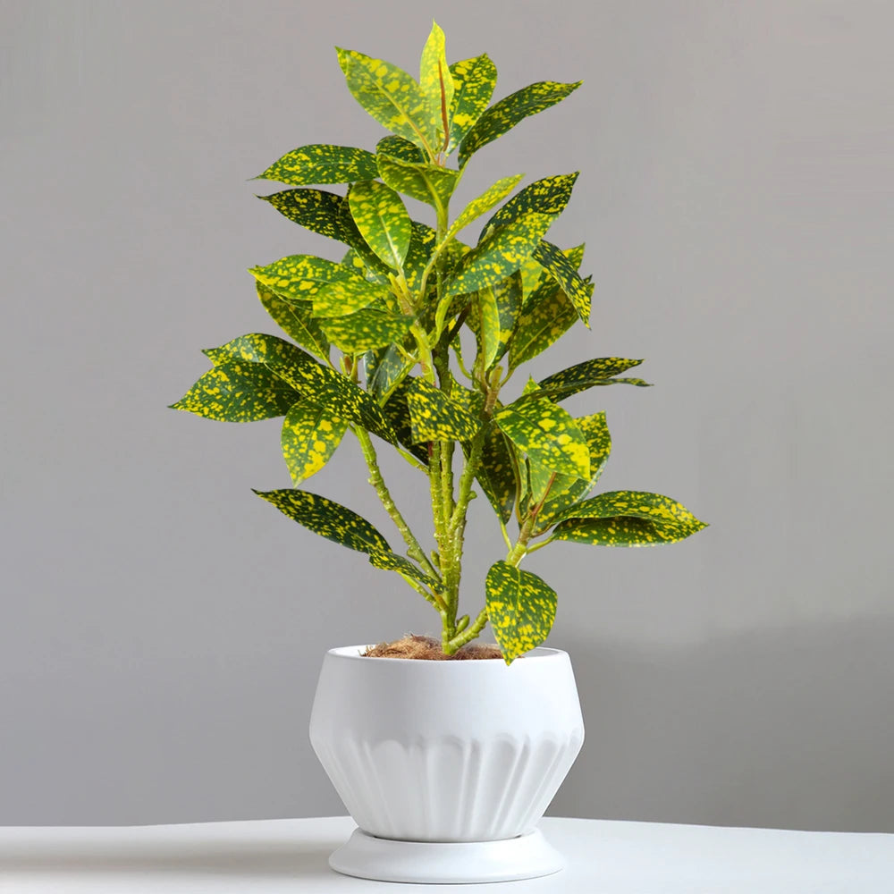 arbre de ficus artificiel réaliste pour décoration intérieure et extérieure