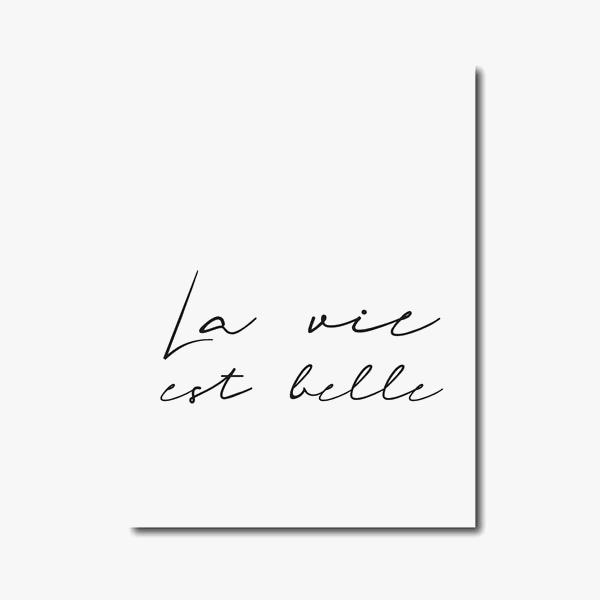 affiche minimaliste pour règles de salle de bain décor mural