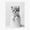 affiche-murale-dr-le-d-animaux-mignons-pour-d-coration-int-rieure-6.png