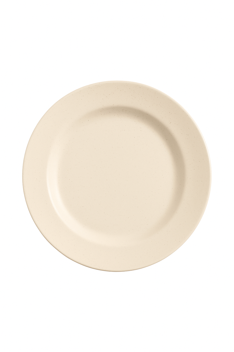 Assiettes nordiques polypropylène légères réutilisables pour cuisine