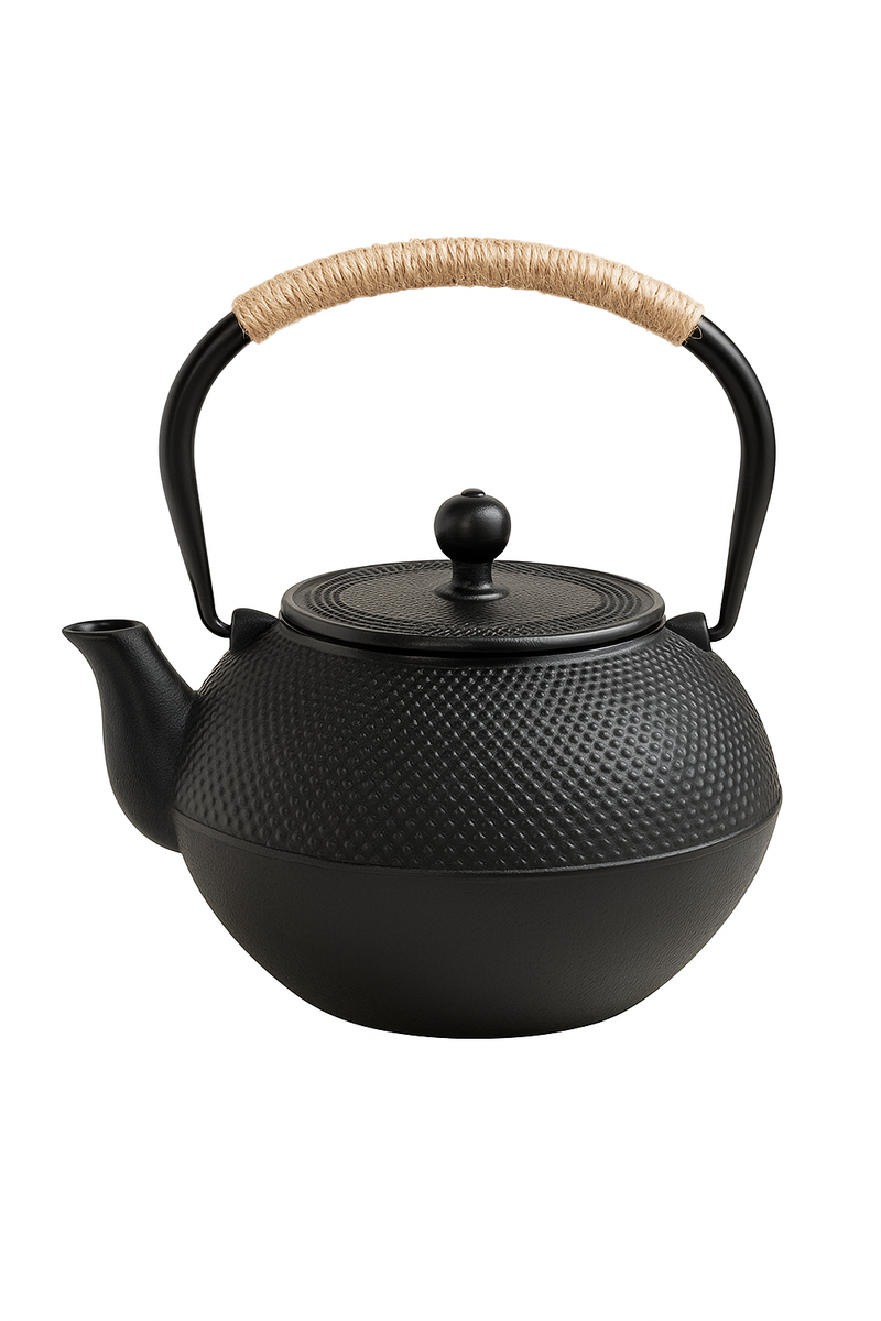 bouilloire fonte style kung fu chinois avec filtre