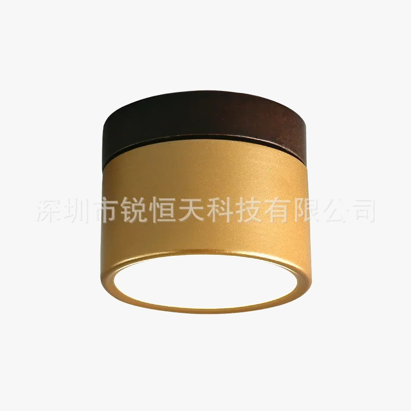 downlight-ouvert-mont-couleur-noyer-sans-poin-on-salon-int-gr-projecteur-led-rond-couloir-lumi-re-4.png