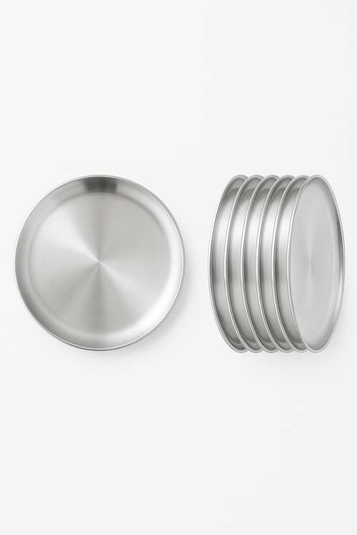 Ensemble 6 assiettes inox pour barbecue cuisine