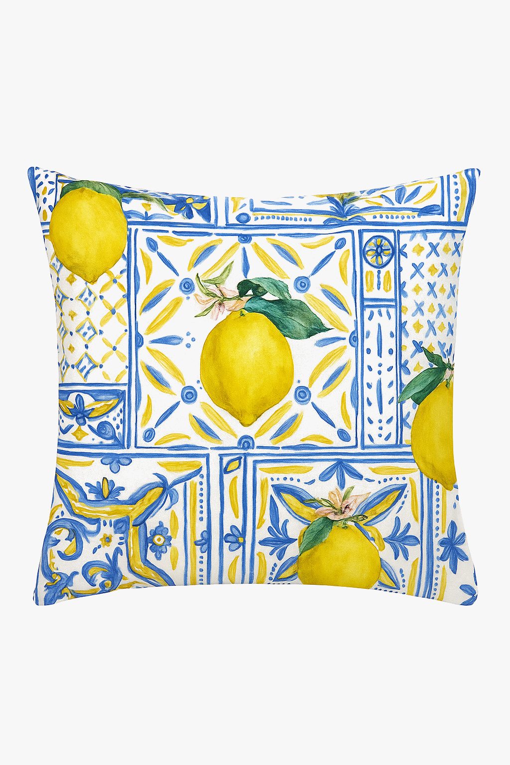 housse-de-coussin-d-corative-fruits-d-t-citron-orange-fraise-past-que-0.png