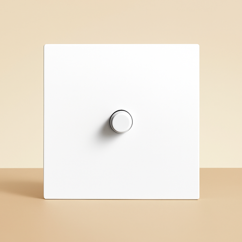 Interrupteur simple 1 voie en acier blanc mat