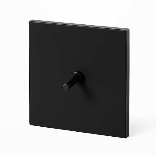 Interrupteur simple 1 voie en acier noir mat