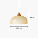 lustre-moderne-en-verre-design-pour-clairage-int-rieur-vintage-8.png