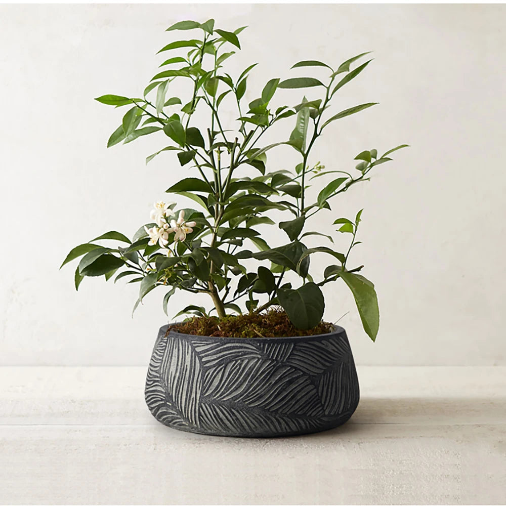 moule en silicone pour jardinière en béton nordique décoratif