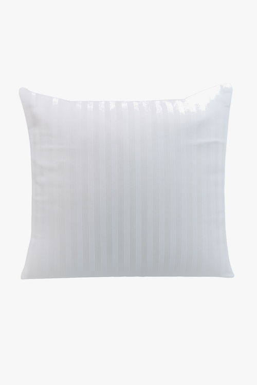 noyaux-de-coussins-en-coton-modernes-et-ray-s-0.png