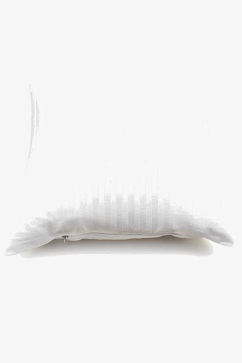 noyaux-de-coussins-en-coton-modernes-et-ray-s-5.png