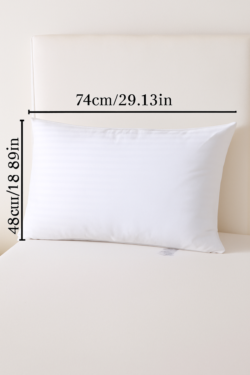 oreiller blanc en duvet et plumes d'oie ignifugé 100 coton