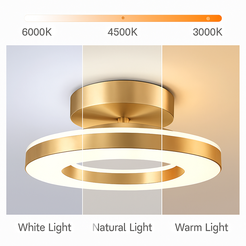 Plafond moderne à LEDs lampe éclairage intérieur décoration de la maison pour chambre Table à manger salon balcon couloir plafonnier
