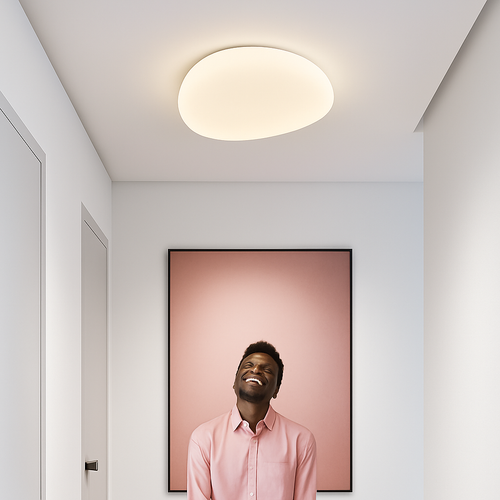 plafonnier à galets à succion pour intérieur et extérieur - vue 3 sur 6