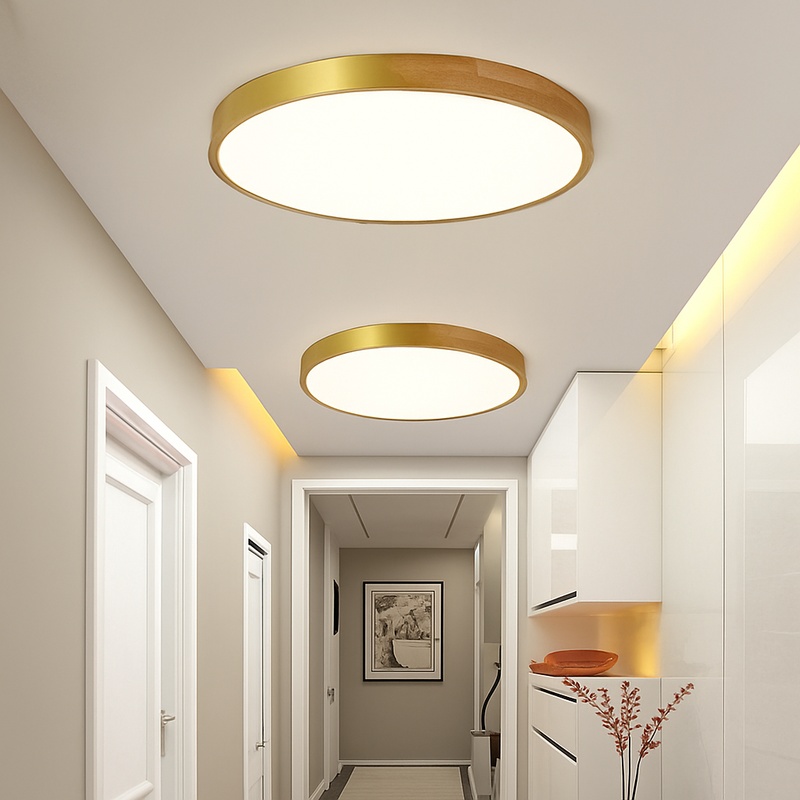 plafonnier led ultra-mince moderne avec télécommande pour décoration maison