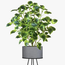plantes-artificielles-d-eucalyptus-et-menthe-tropicale-pour-d-coration-int-rieur-0.png