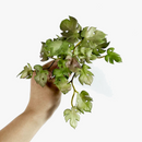 plantes-artificielles-feuillage-tropical-faux-bouquet-d-coratif-7.png