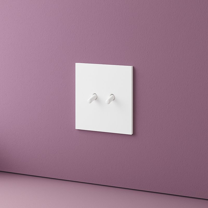 Prise électrique et double USB (Europe) en acier blanc mat