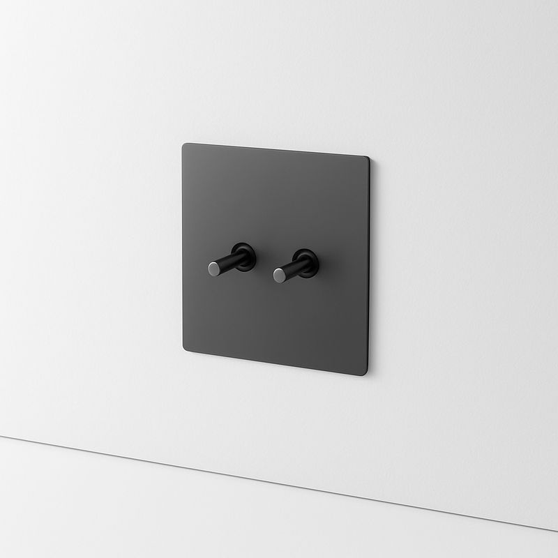 Prise électrique et double USB (Europe) en acier gris foncé brossé