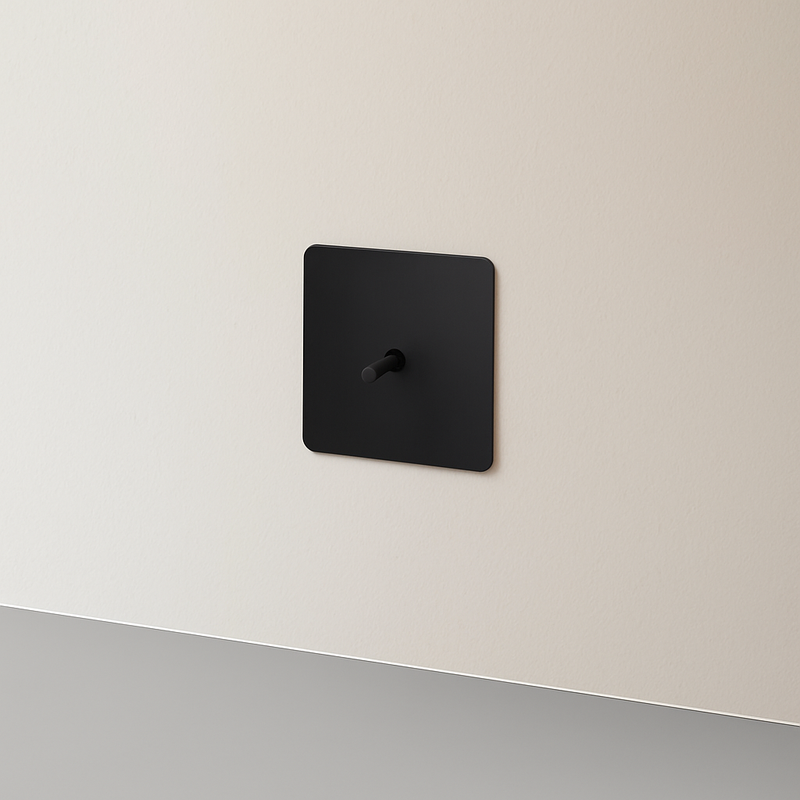 Prise électrique (Europe) en acier noir mat