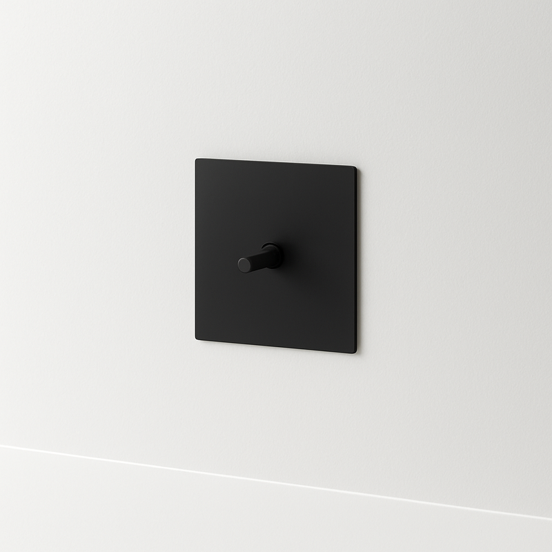 Prise électrique (Europe) en acier noir mat