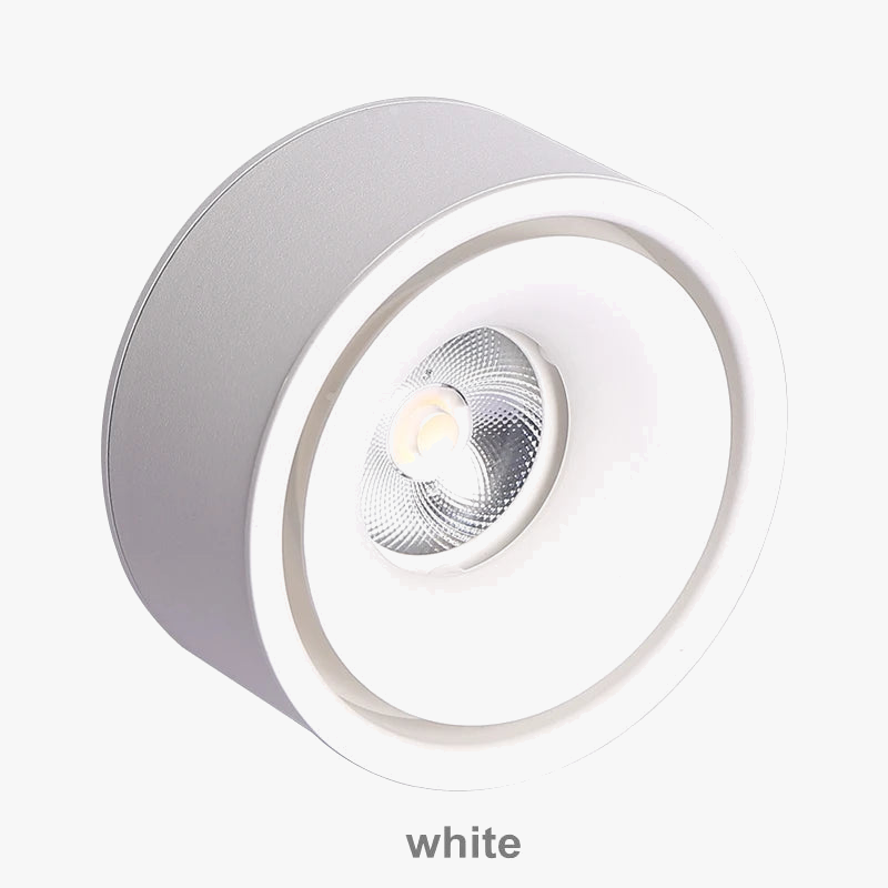 spot-led-rond-en-surface-intensit-variable-7.png